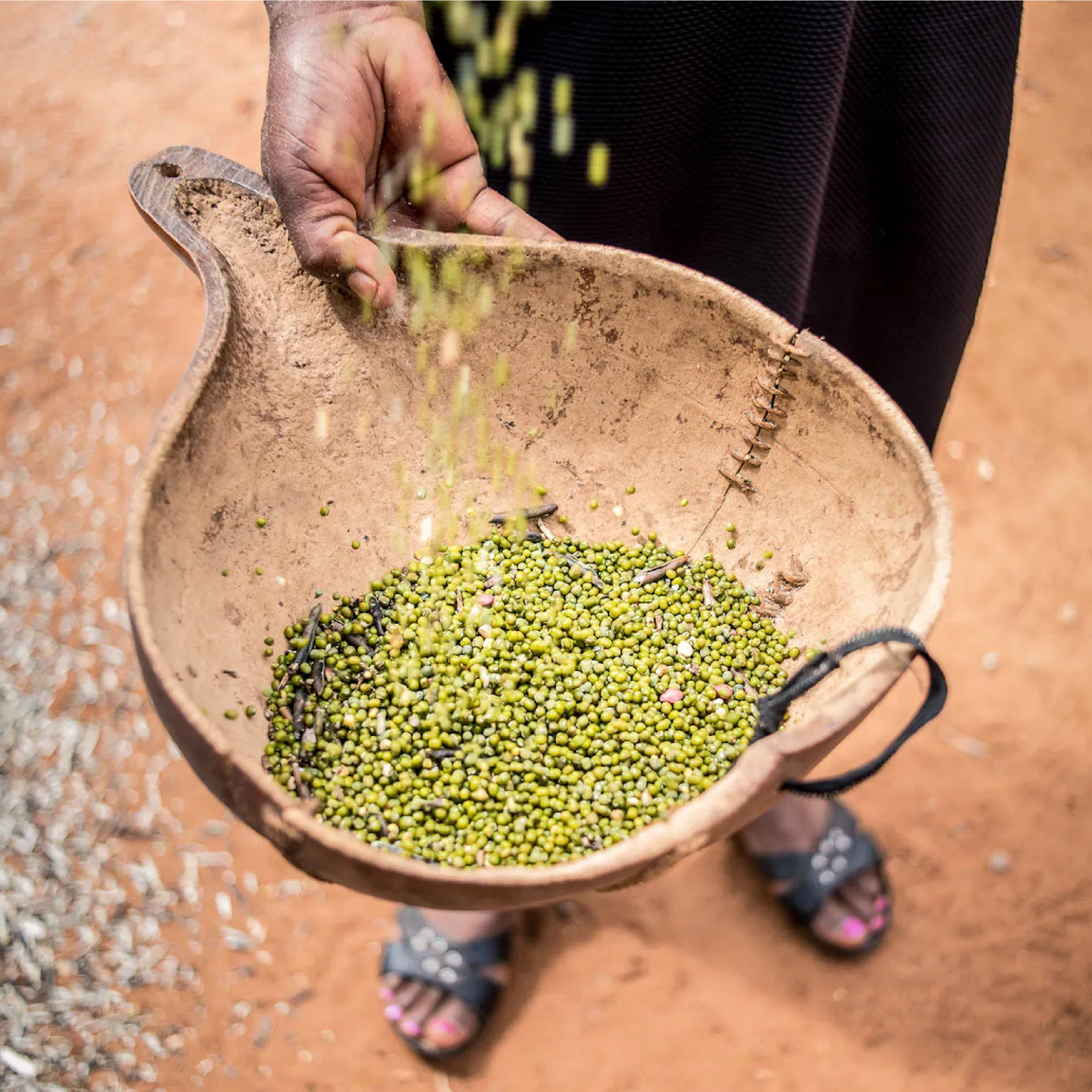 Kenya Agricultural Insurance Project | Social Impact Credits