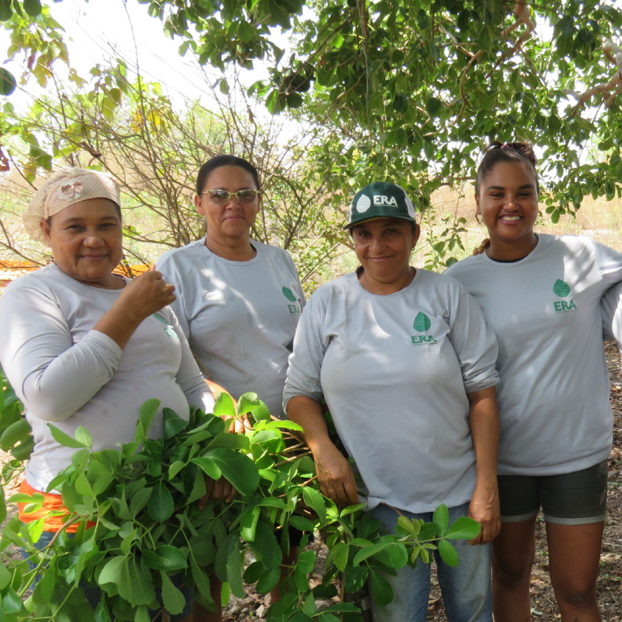 Brazil Pollen Project | Social Impact Credits